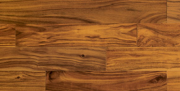 Wall Color For Your Hardwood Floor, Best Paint Colors With Hardwood Floors