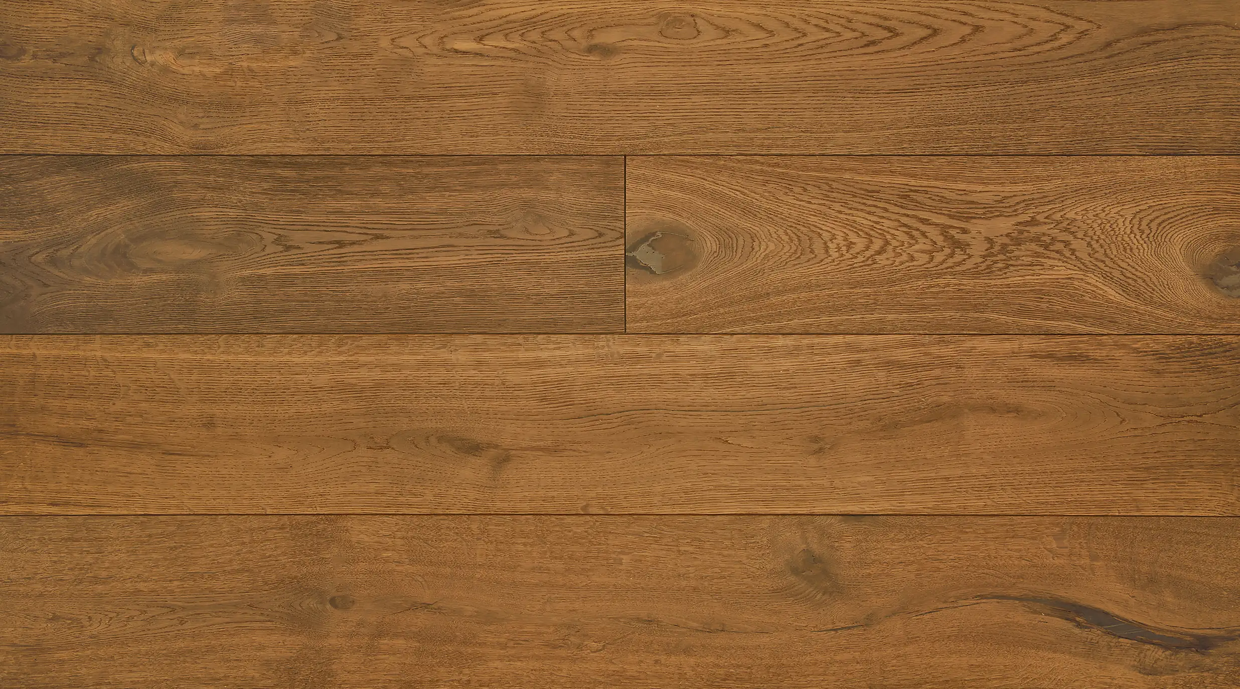 ART-Monet Plus top view photo