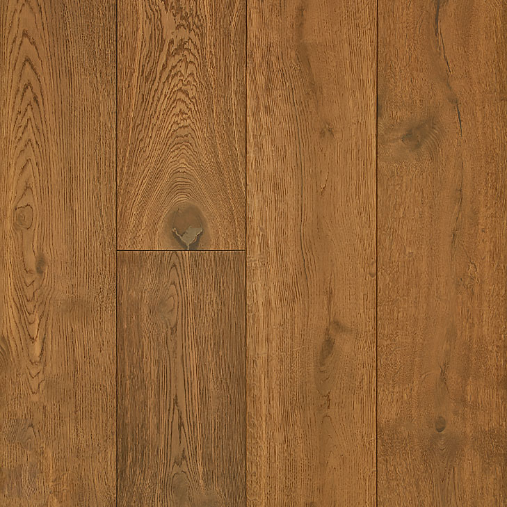 ART-Monet Plus thumbnail