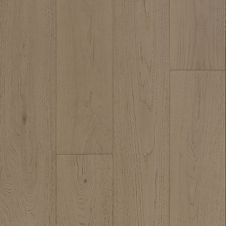 リシアンサス（Bグレ） リシアンサス（トルコキキョウ）｜フラワー