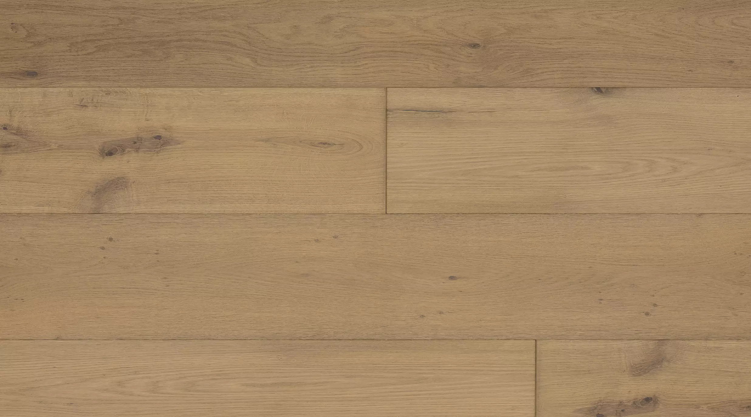 VCM-816_Oak_Modena_al