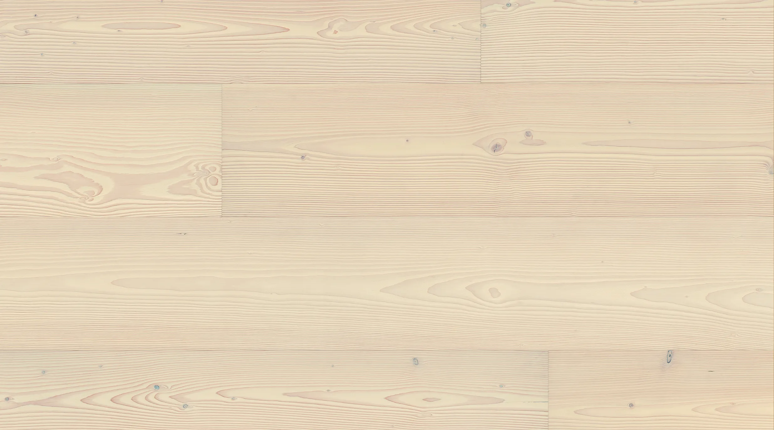 Douglas Fir Prime top shot