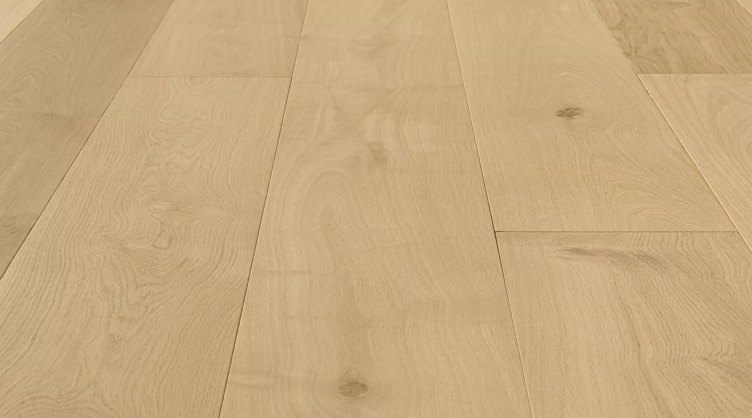 Timbertop Signature Absolute angle shot