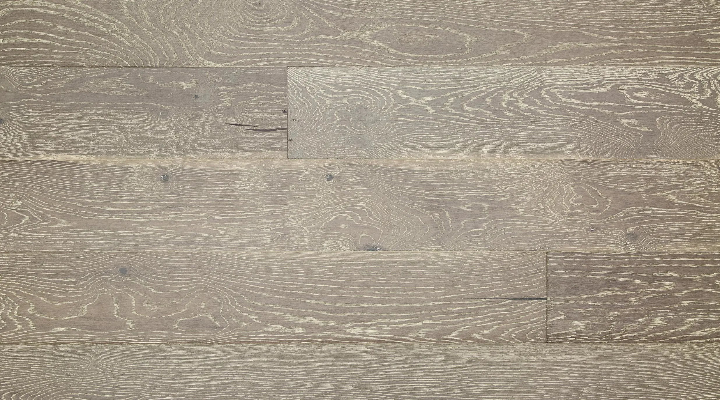 Elephant floor top shot