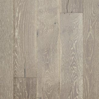 Elephant floor topshot