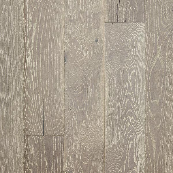 Elephant floor topshot